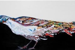 WhatsApp-Image-2023-12-28-at-14.35.21